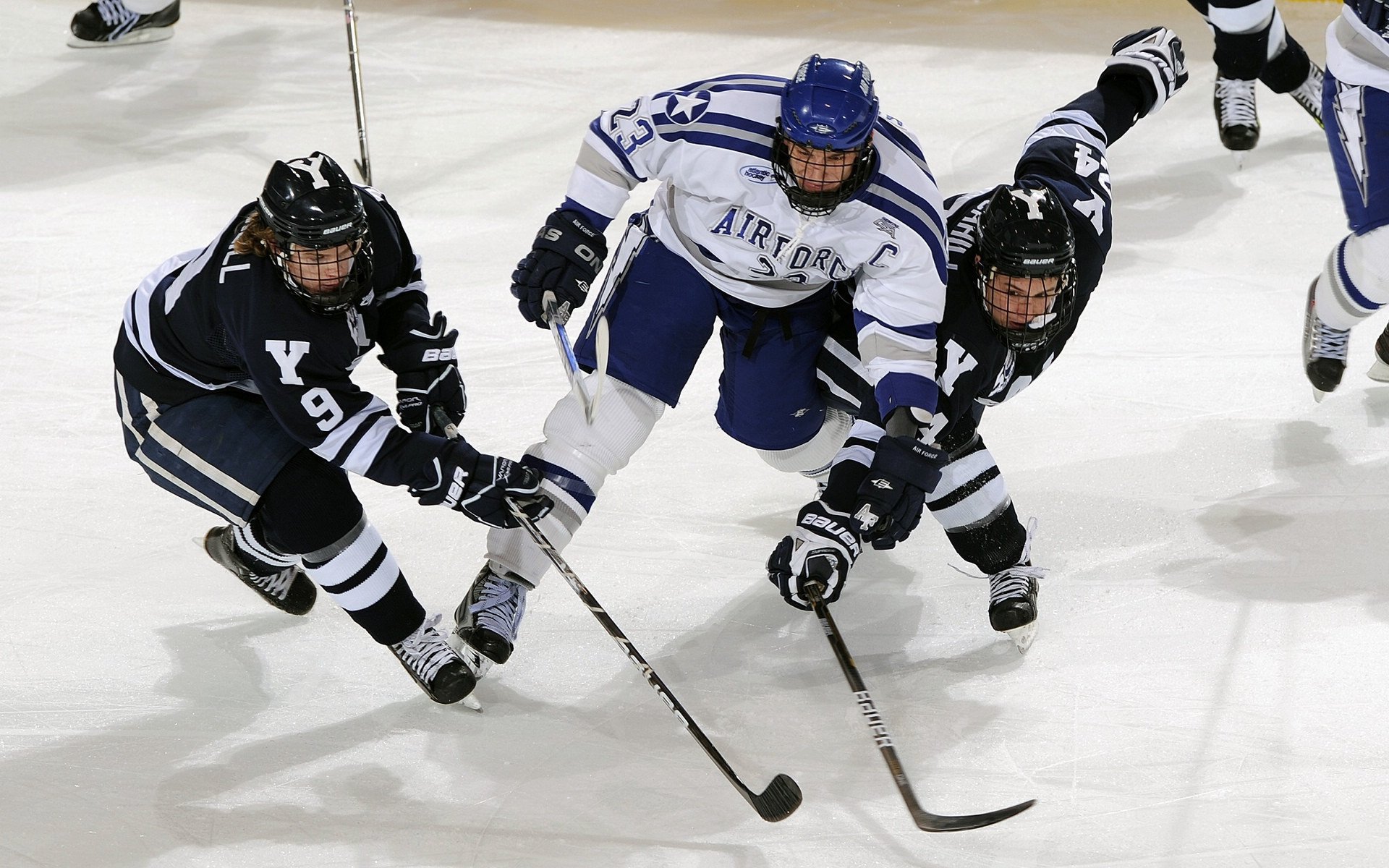 中国体操全锦赛男子鞍马 冠军动作稳定被誉为“教科书级”